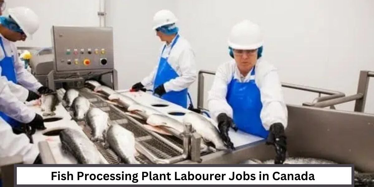 Fish Processing Plant Labourer Jobs in Canada