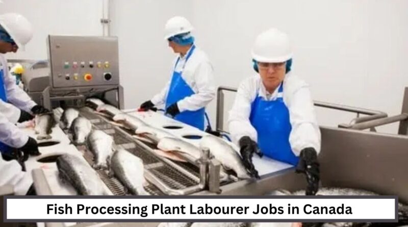 Fish Processing Plant Labourer Jobs in Canada