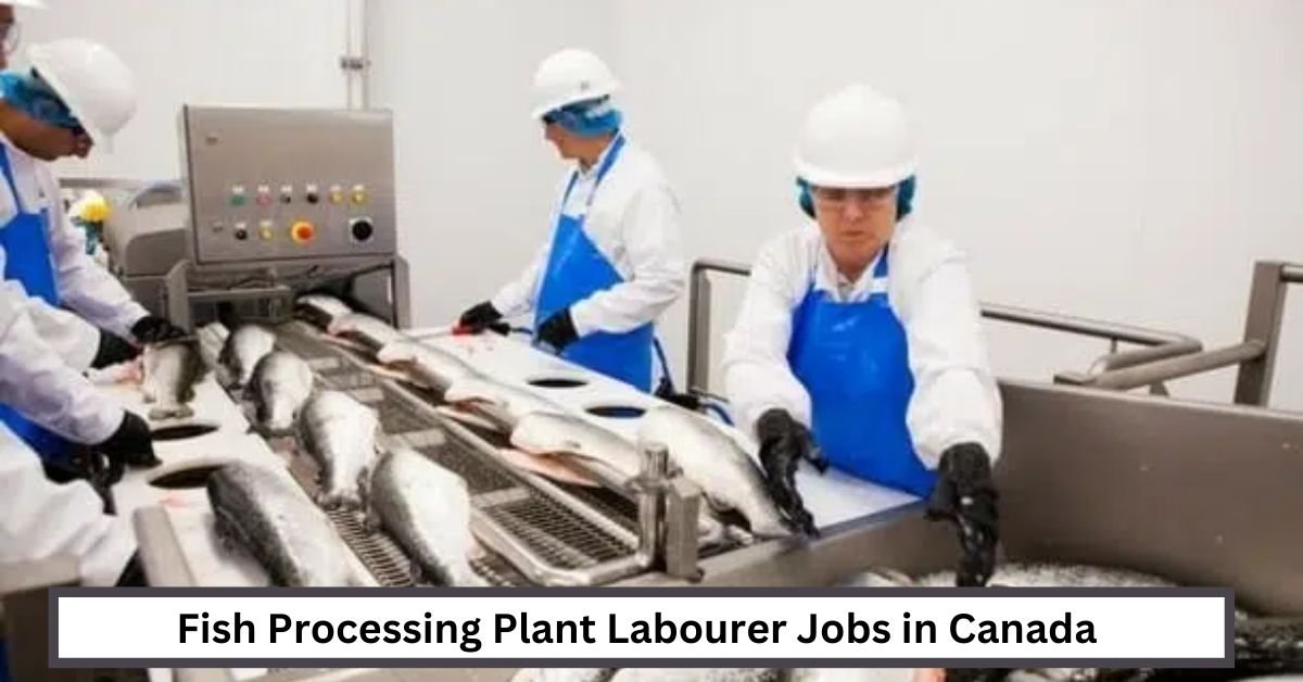 Fish Processing Plant Labourer Jobs in Canada
