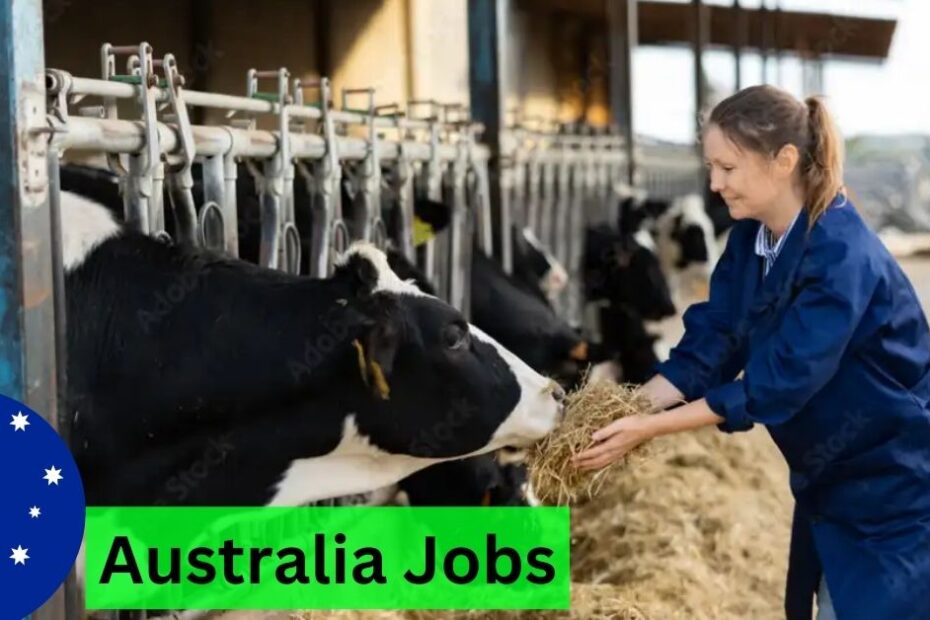 Dairy Farm Worker Jobs in Australia