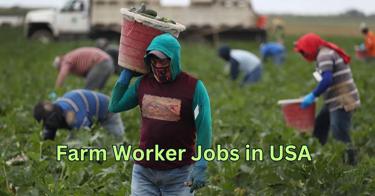 Farm Worker Jobs in USA