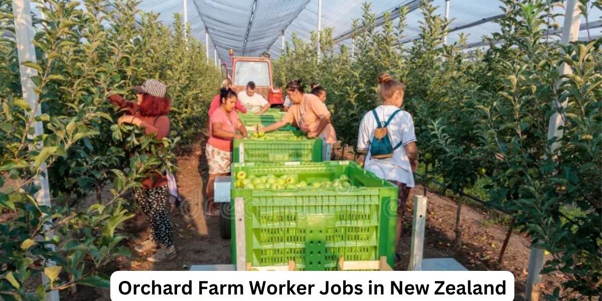 Orchard Farm Worker Jobs in New Zealand