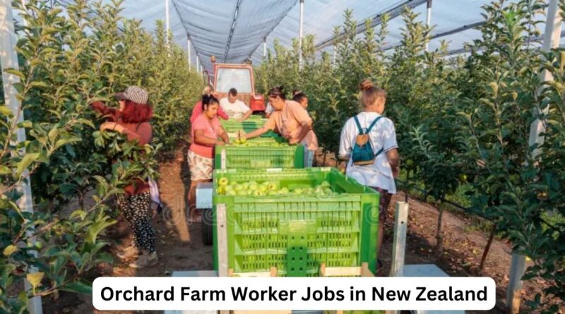 Orchard Farm Worker Jobs in New Zealand