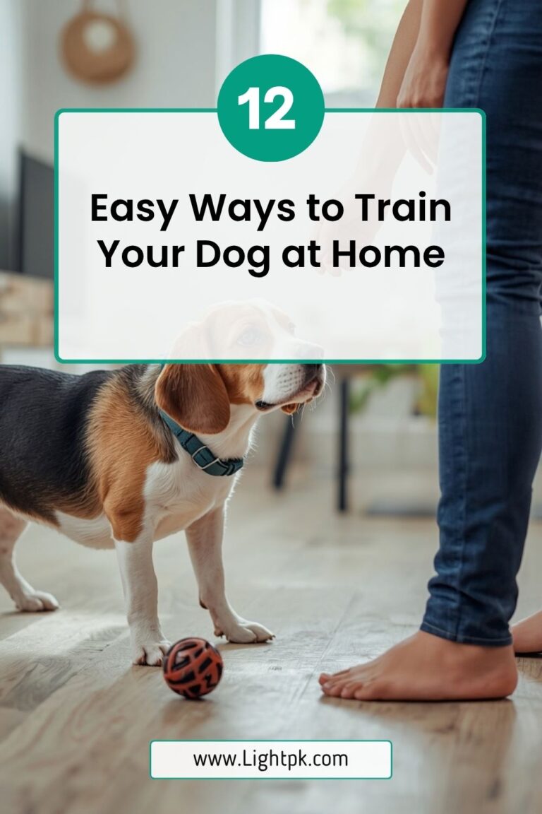 12 Easy Ways to Train Your Dog at Home