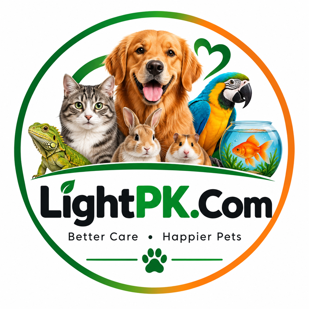 Lightpk.com