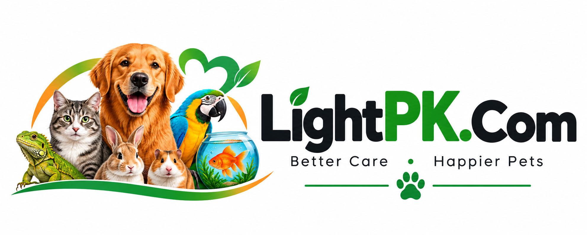 LightPK logo