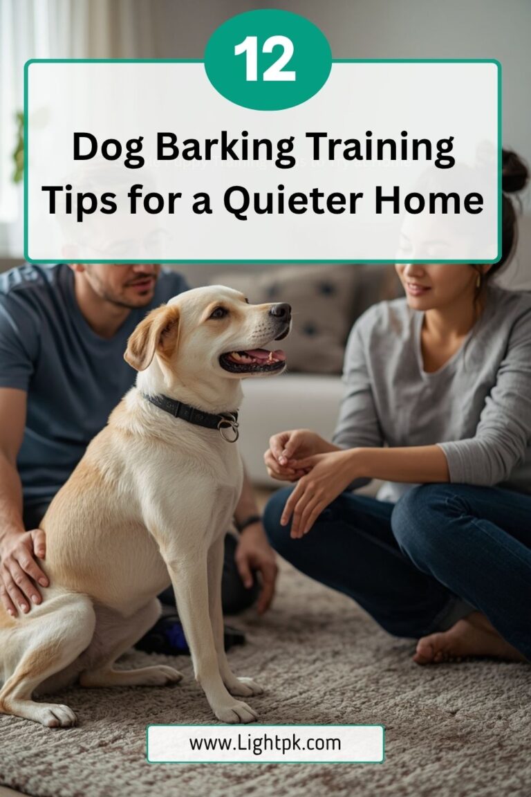 12 Dog Barking Training Tips for a Quieter Home