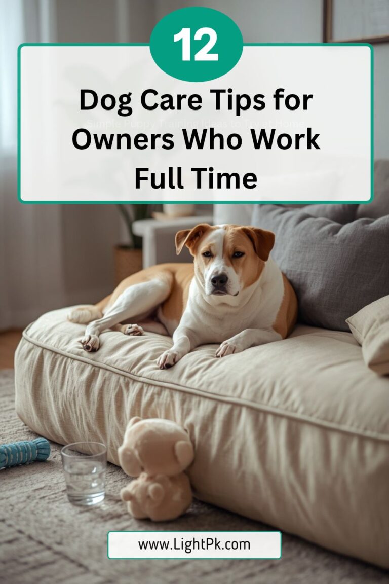 12 Dog Care Tips for Owners Who Work Full-Time