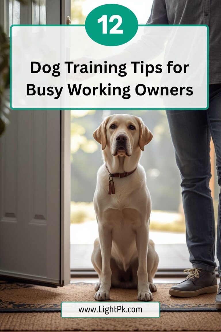 12 Dog Training Tips for Busy Working Owners