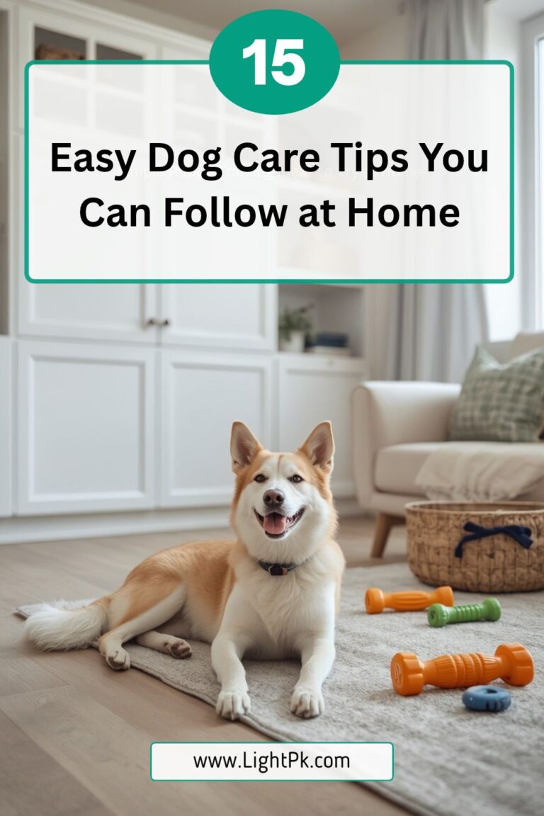 15 Easy Dog Care Tips You Can Follow at Home