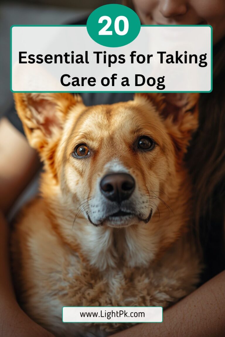 20 Essential Tips for Taking Care of a Dog