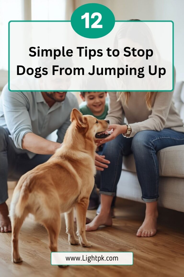 12 Simple Tips to Stop Dogs From Jumping Up
