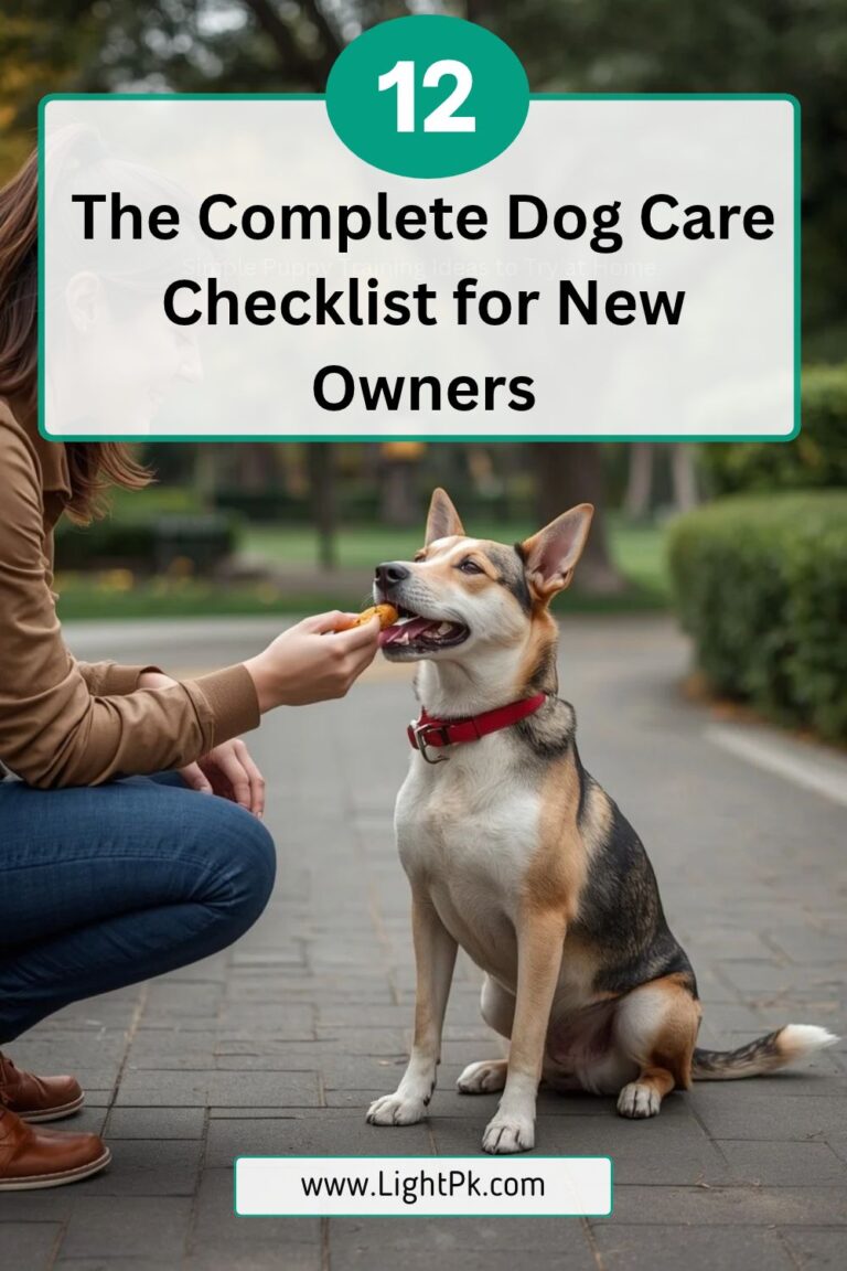 The Complete Dog Care Checklist for New Owners