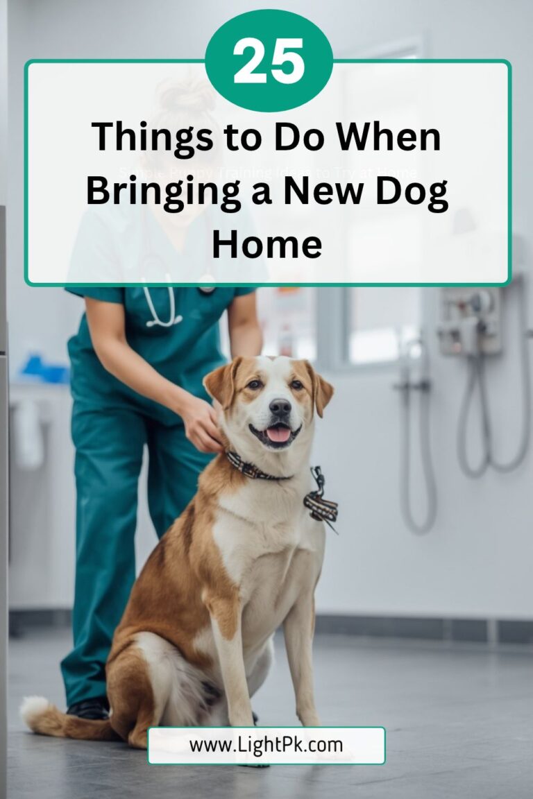 25 Things to Do When Bringing a New Dog Home