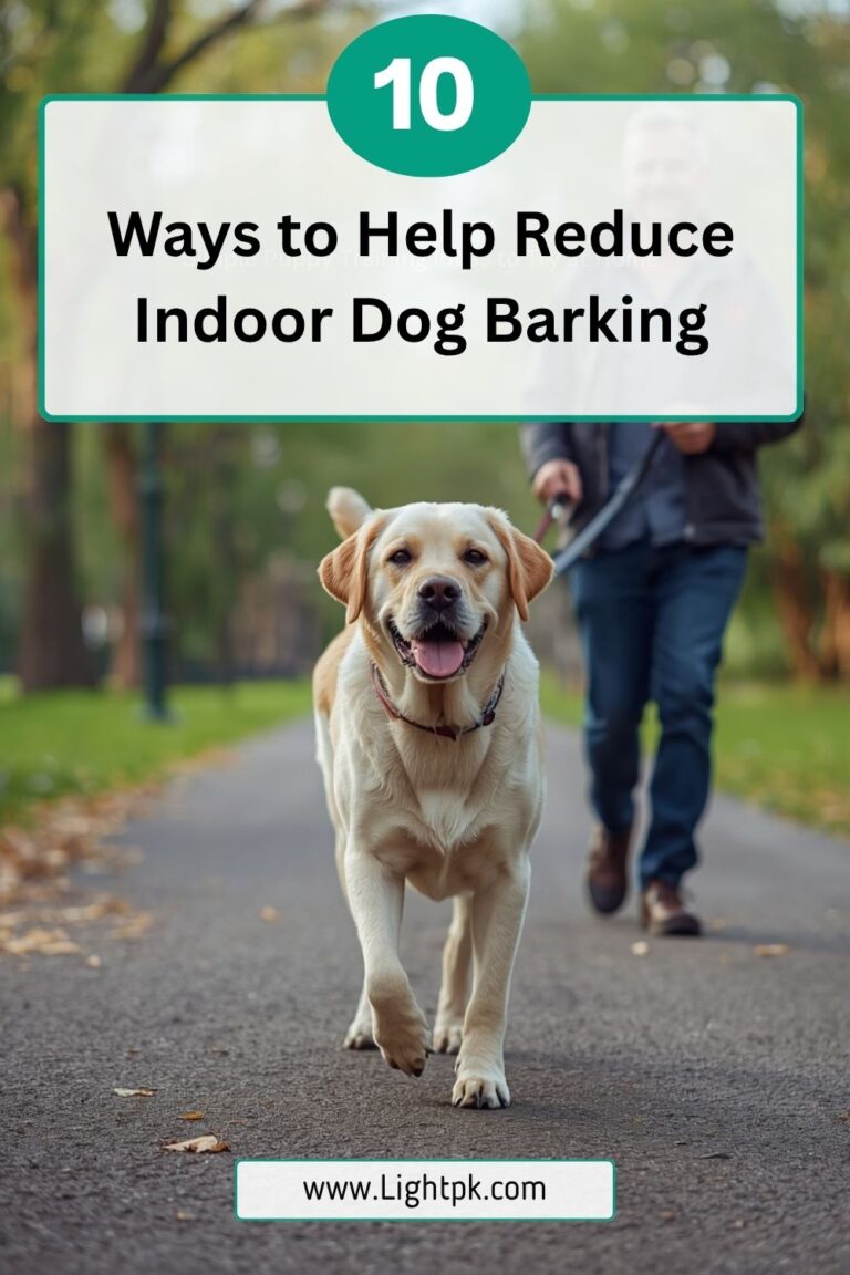 10 Ways to Help Reduce Indoor Dog Barking