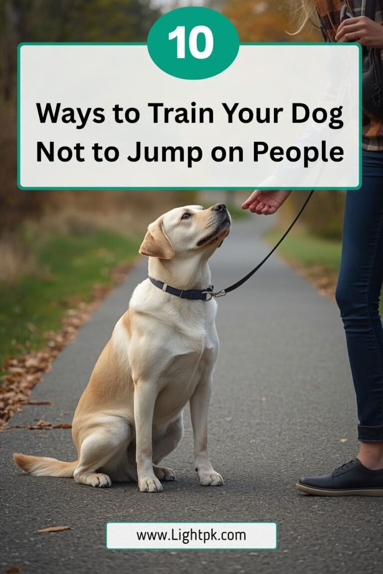 10 Ways to Train Your Dog Not to Jump on People